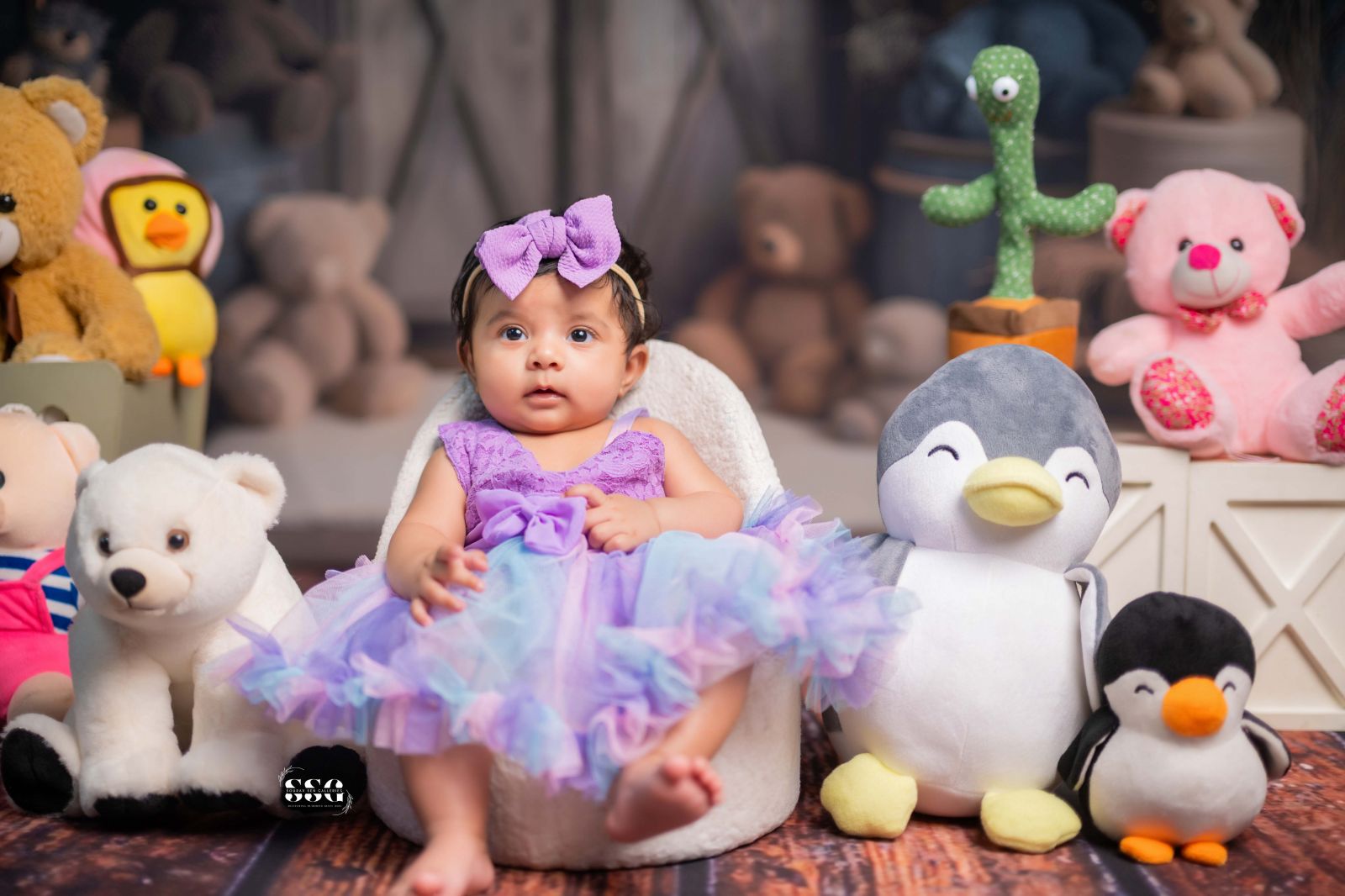 6 months baby milestone photography
